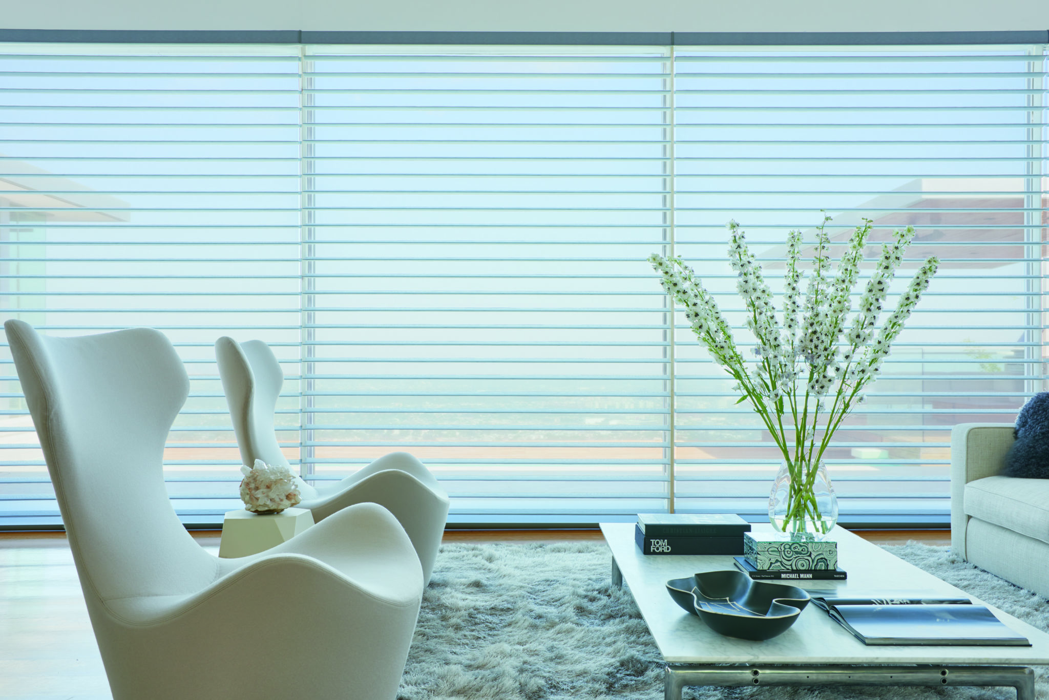 Renowned-Window-Blinds-Sheers-Control=Light